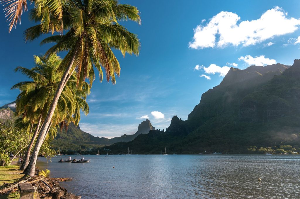 Créer un site internet pour son entreprise à Tahiti : le guide