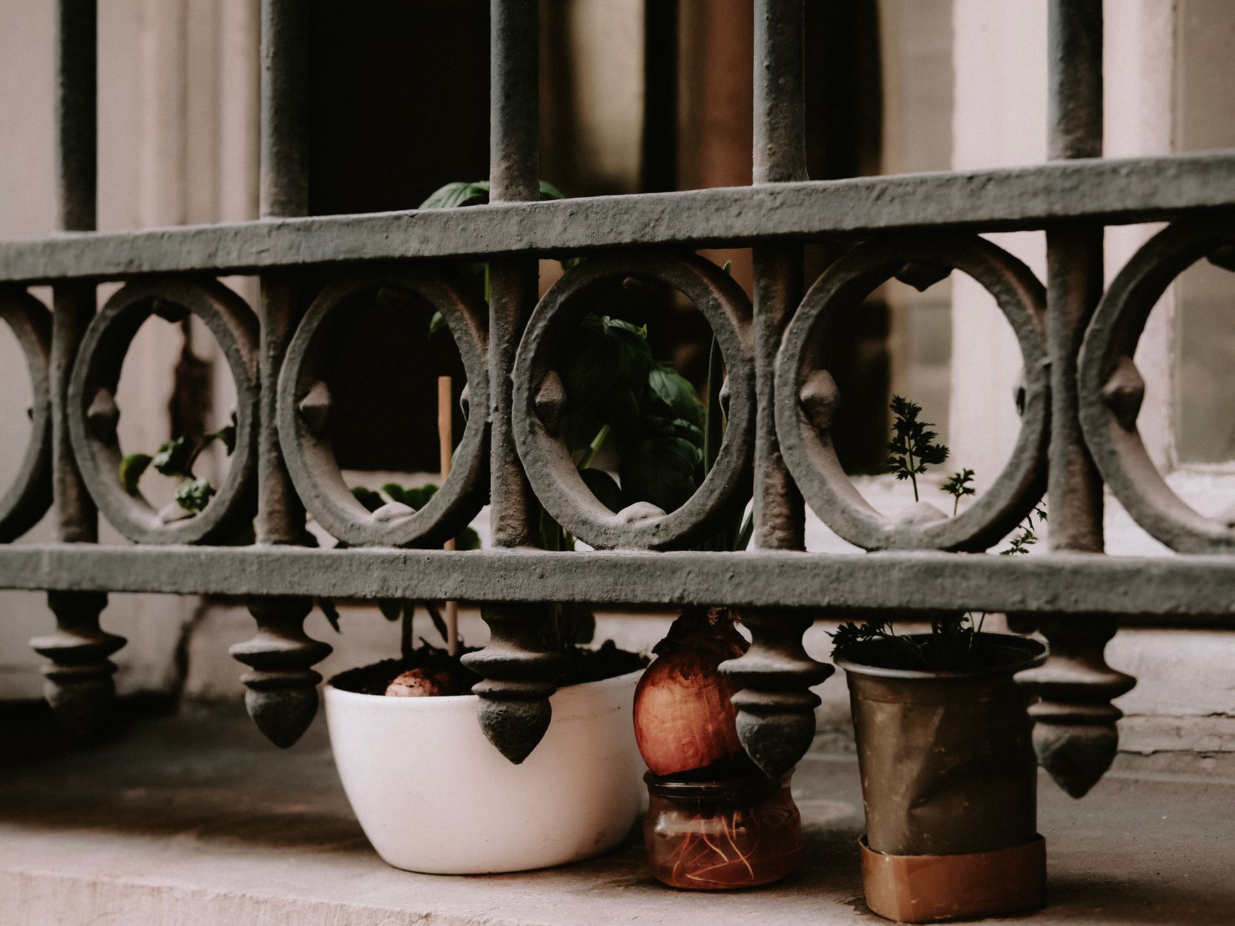 Guide pratique pour créer un potager sur balcon