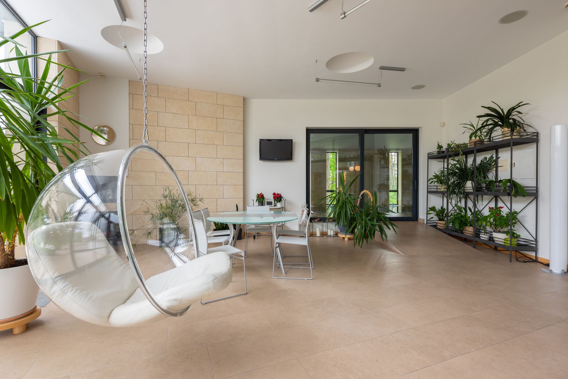Meilleures plantes d'intérieur faciles pour salon