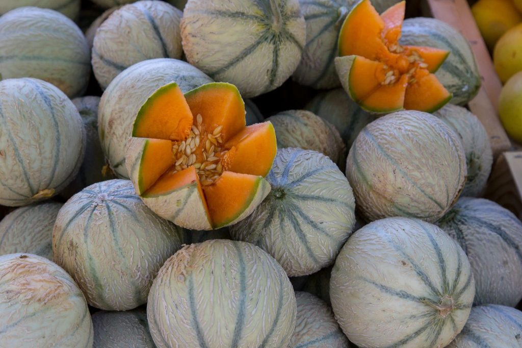Bien choisir un melon : les 5 signes qui ne trompent pas