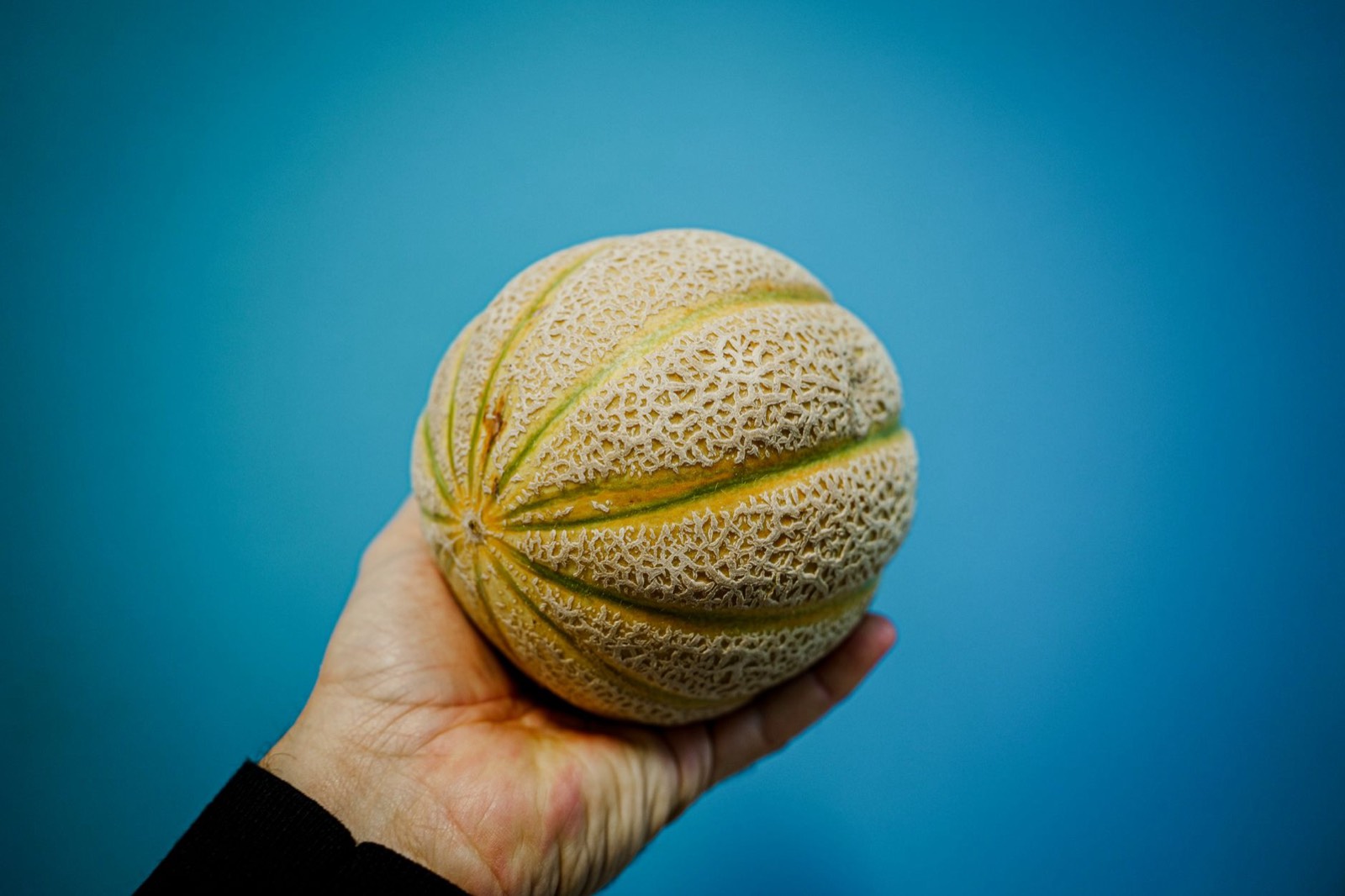 Main qui presse le pédoncule craquelé d'un melon pour vérifier sa maturité