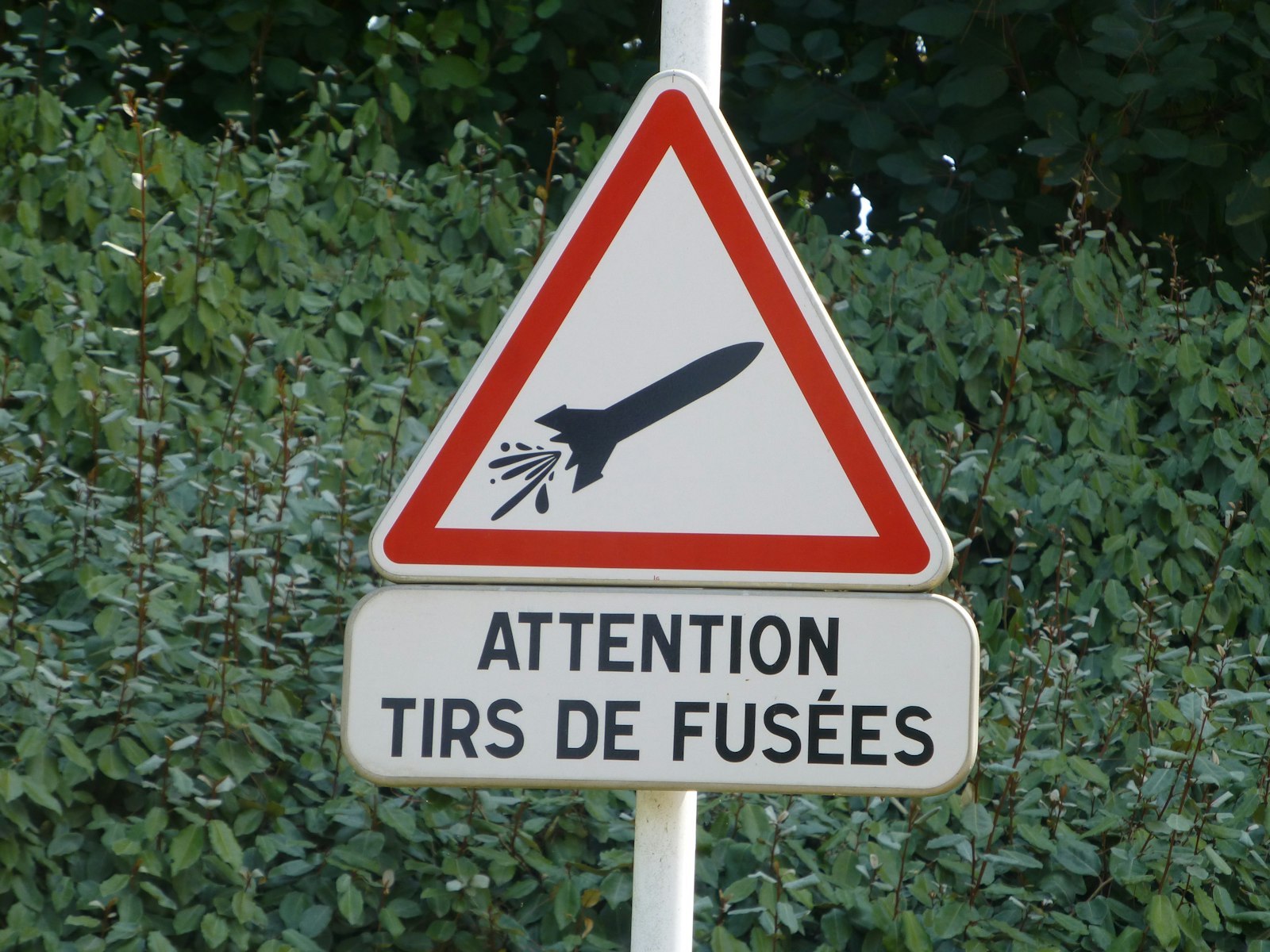 Quand l'utopie pousse à la folie : entre menace et innovation