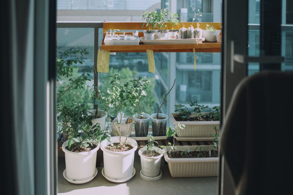 Guide pratique pour créer un potager sur balcon