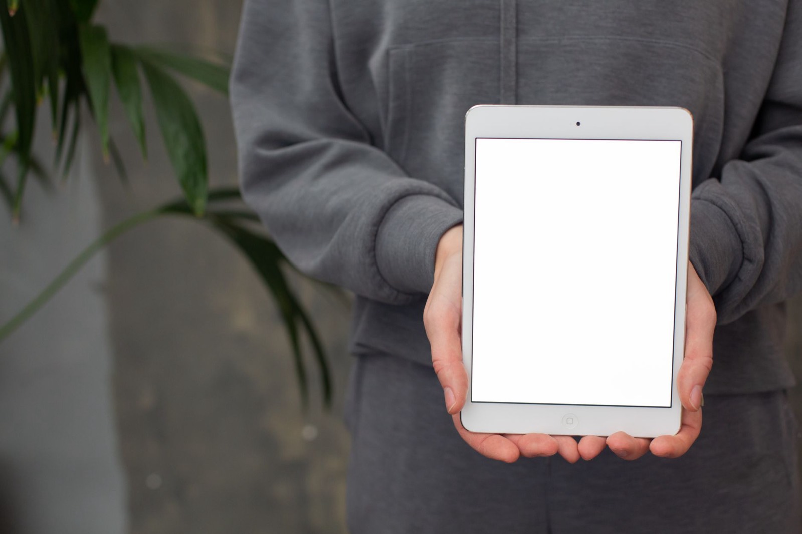 Personne comparant des modèles de sites internet sur une tablette